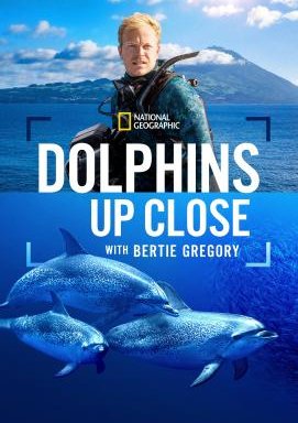 Delfine Hautnah mit Bertie Gregory